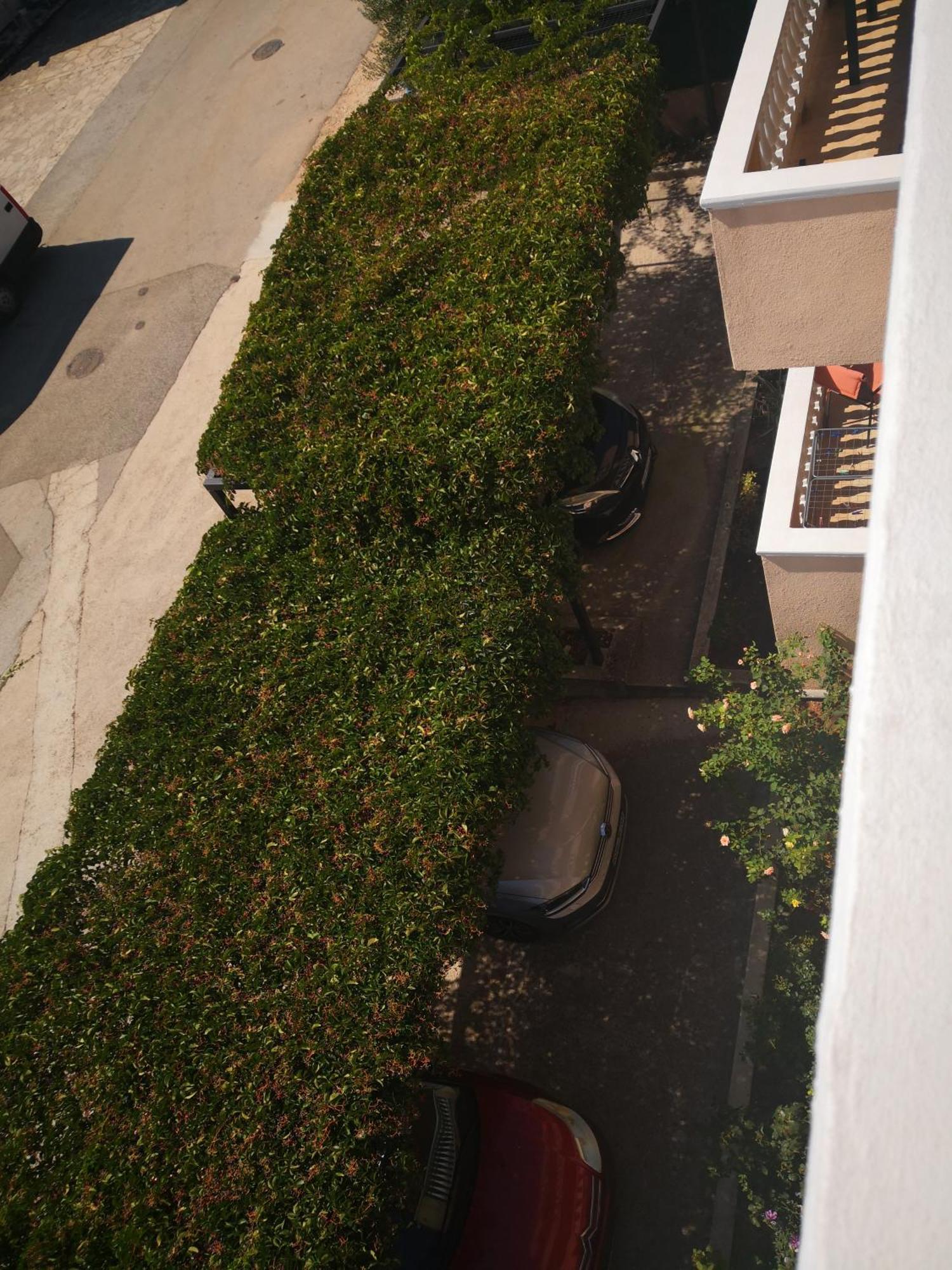 Apartment Plavia Biograd Biograd na Moru Kültér fotó